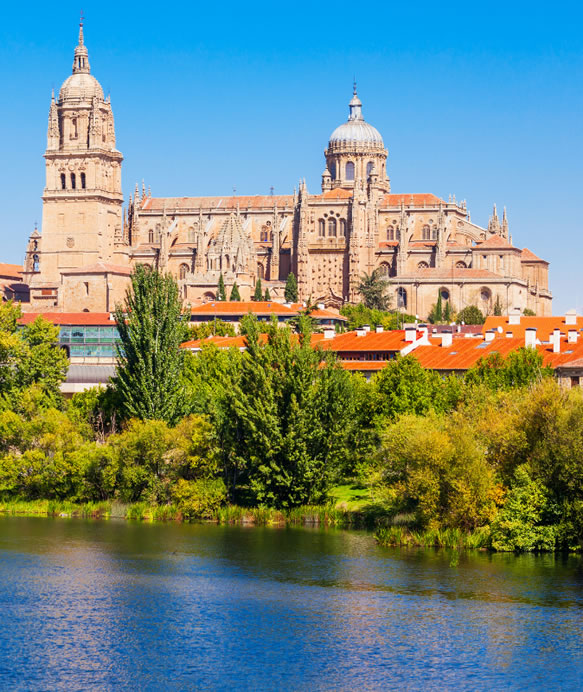 Saiba mais sobre a Universidade de Salamanca
